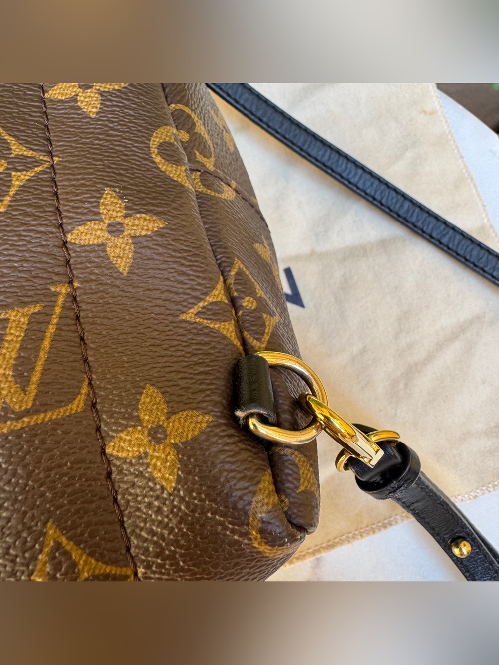 Louis Vuitton Monogram Mini Palm Springs Backpack - Picture 10 of 16